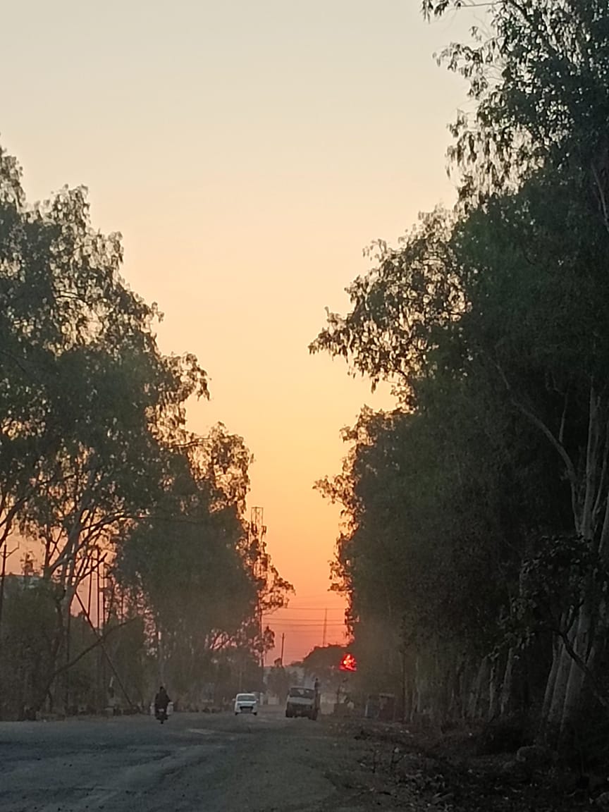 June walk from Bhopal