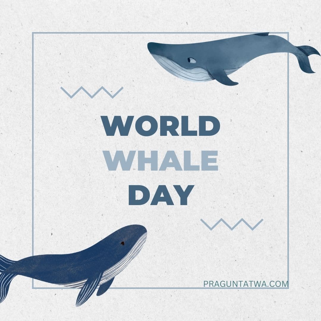 World Whale day