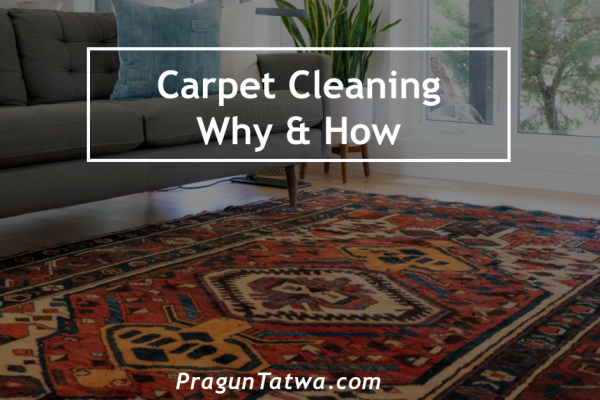 Carpet Cleaners – Why and How?