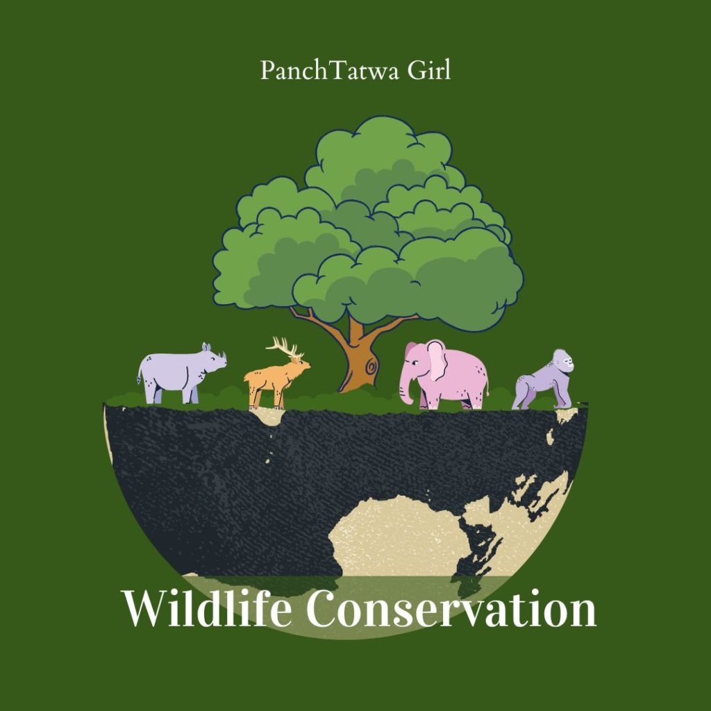 conservation of wildlife poster for kids