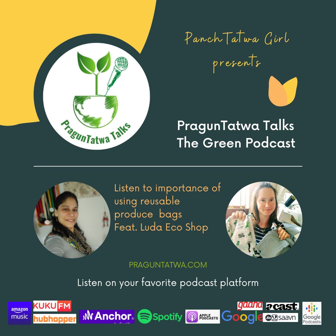 Ep 26 – Green Talks Feat. Luda Eco shop with Panchtatwa Girl