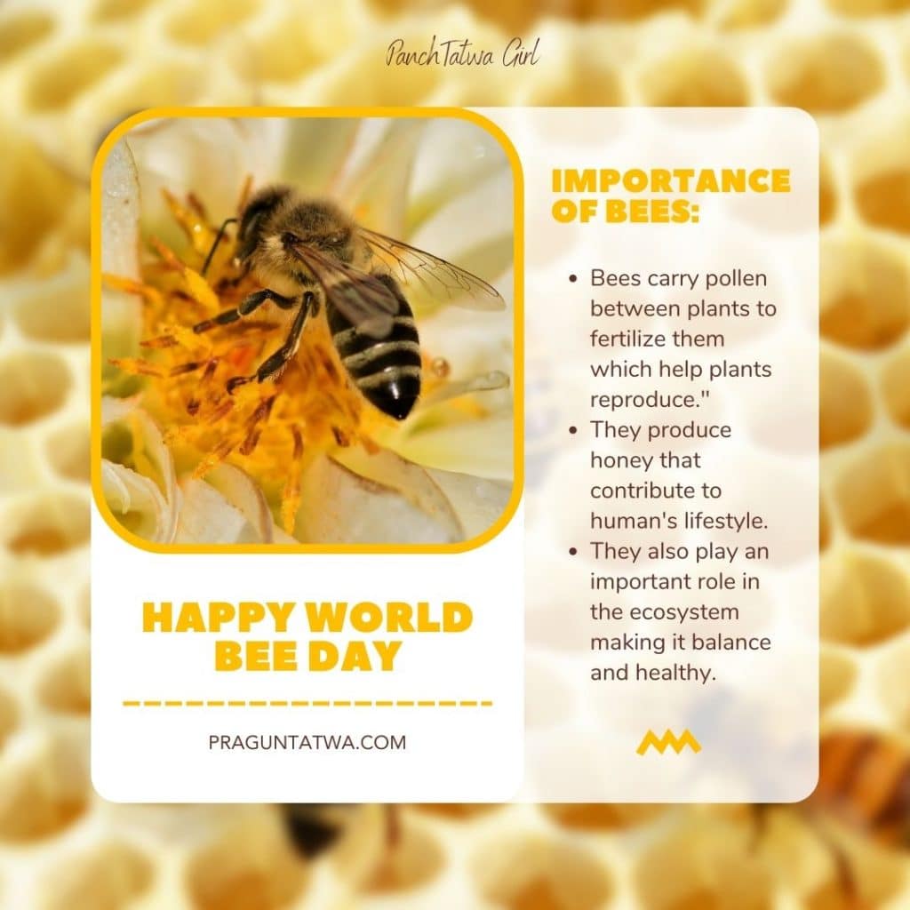 Honey Bee Day