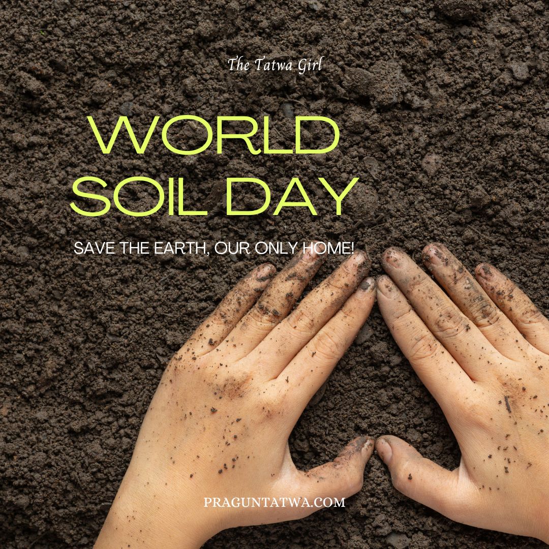 World Soil Day 2024: “Caring for Soils – Measure, Monitor, Manage”