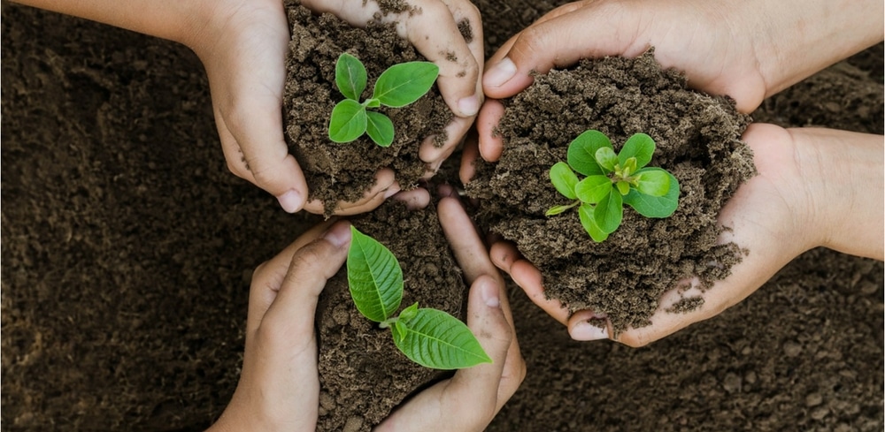 How to Celebrate Soil Day