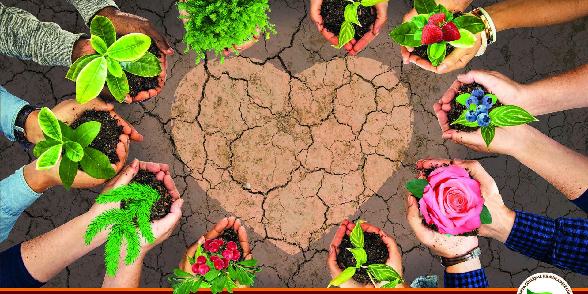 Soils: Where food begins